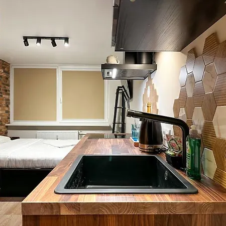 Redbrick Center Vi アパート クライペダ