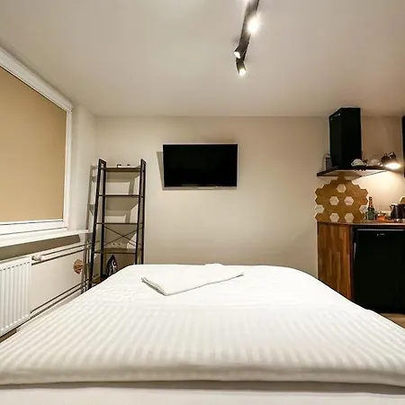 Redbrick Center Vi Apartment