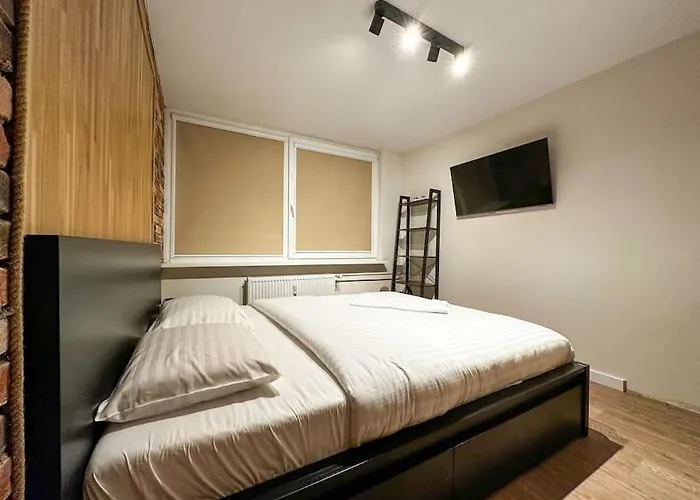 Redbrick Center Vi Apartament *