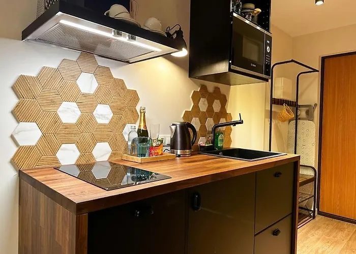 Redbrick Center Vi Apartament Kłajpeda